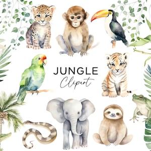 Paquete de imágenes prediseñadas de animales de la selva, acuarela elefante tigre perezoso tucán loro Clip Art PNG Zoo ilustraciones salvajes para invitaciones Scrapbooking