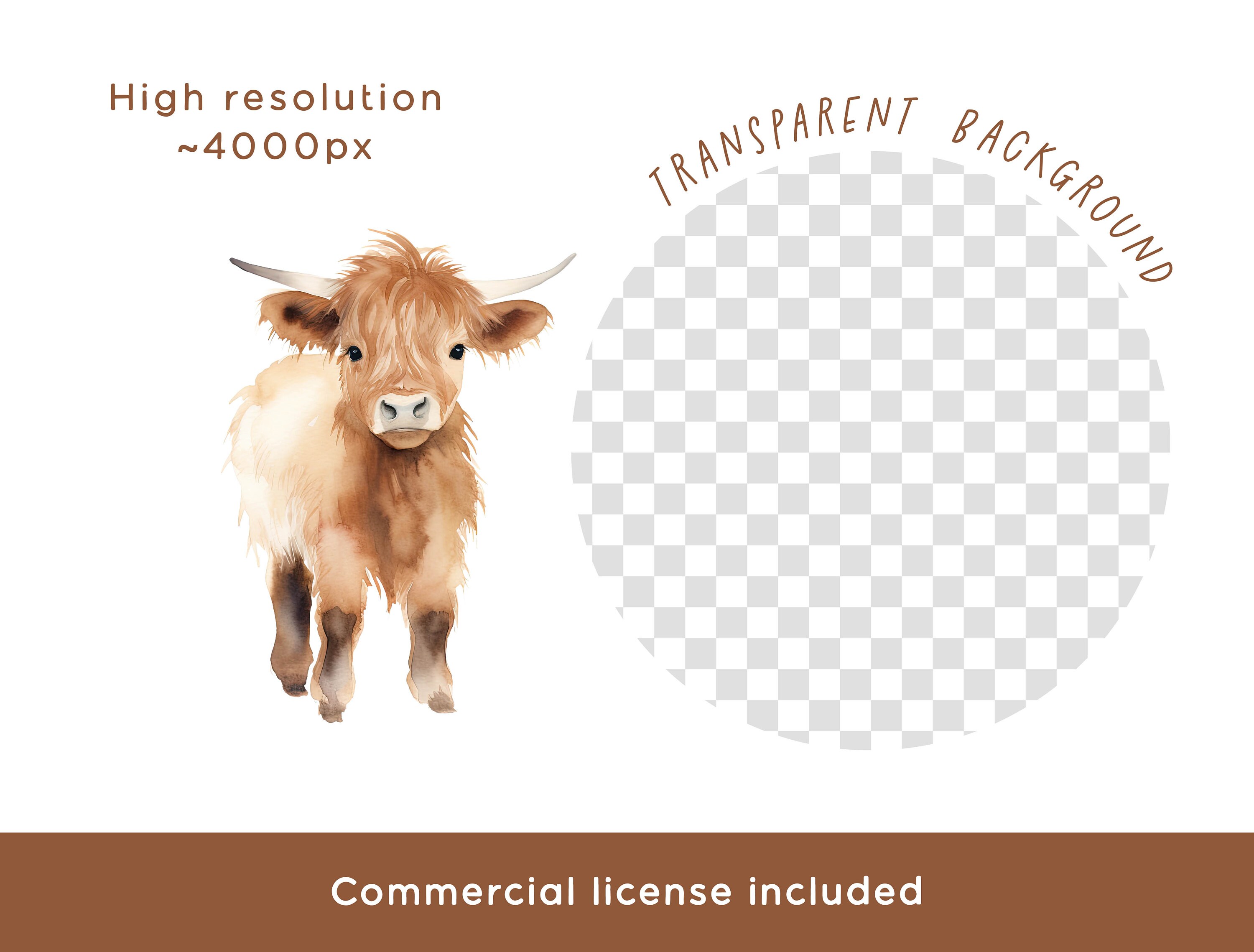 Highland Cow Clipart Bundle, Watercolor Baby Animal Cow PNG Painted ...