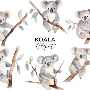 Koala Clipart, aquarel Australian Zoo Animal PNG, digitale download voor commercieel gebruik, kinderen verjaardagsuitnodigingen kaarten muur kunst illustraties