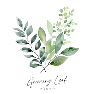 Clipart bouquet de feuilles - aquarelle verdure peint feuilles graphiques PNG pour faire-part de mariage, cartes de voeux, art mural en téléchargement numérique