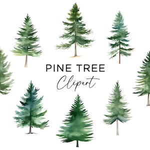 Pacchetto Clipart albero di pino, alberi di Natale dell'acquerello foresta invernale Evergreen PNG uso commerciale download digitale inviti Scrapbooking