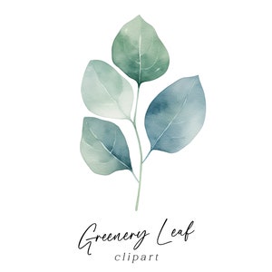 Clipart de feuille - branche de verdure aquarelle brin PNG pour faire-part de mariage Art mural cartes de voeux usage commercial téléchargement numérique