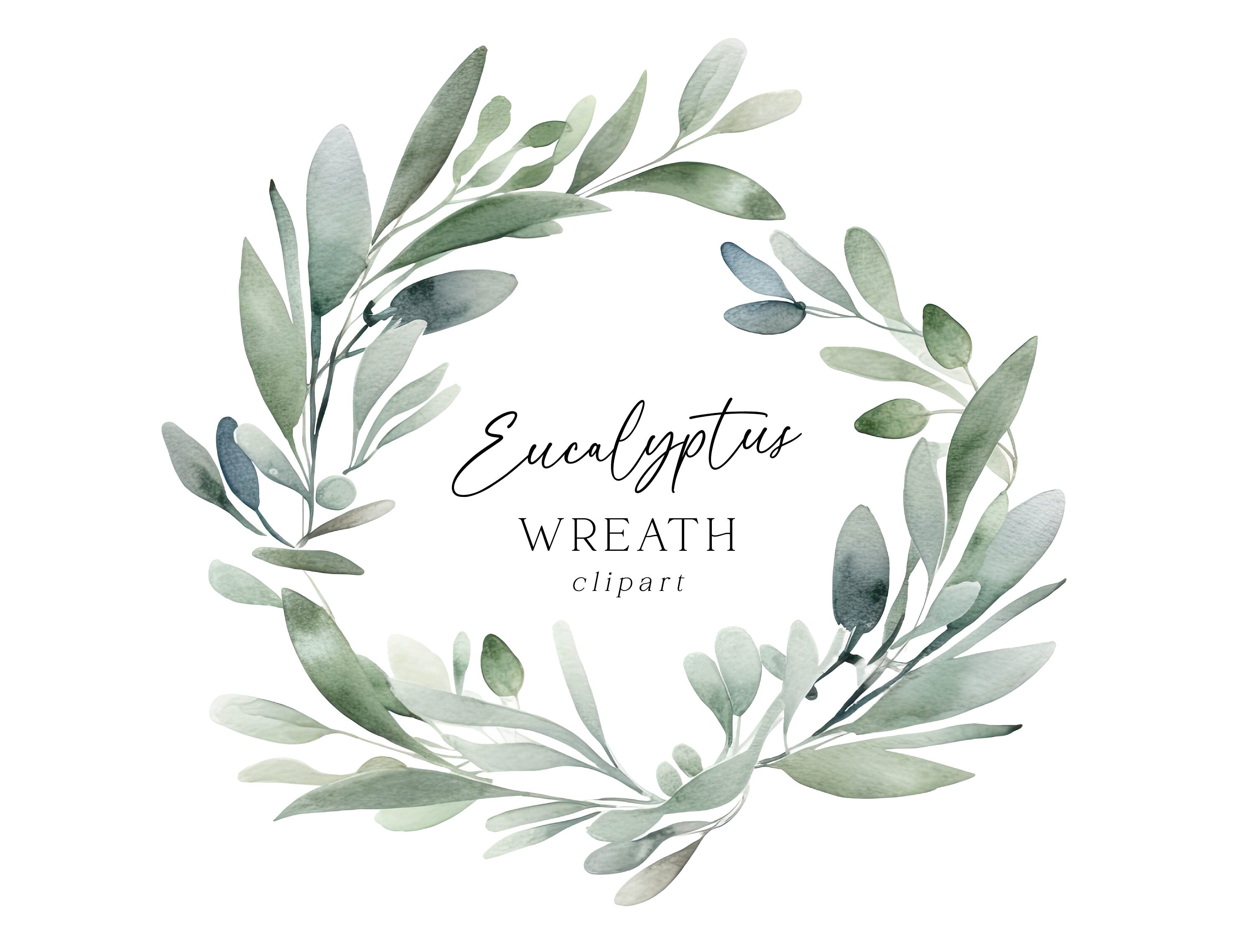 Eucalyptus Wreath Clipart, Watercolor Soft PNG Graphic Commercial Use ...