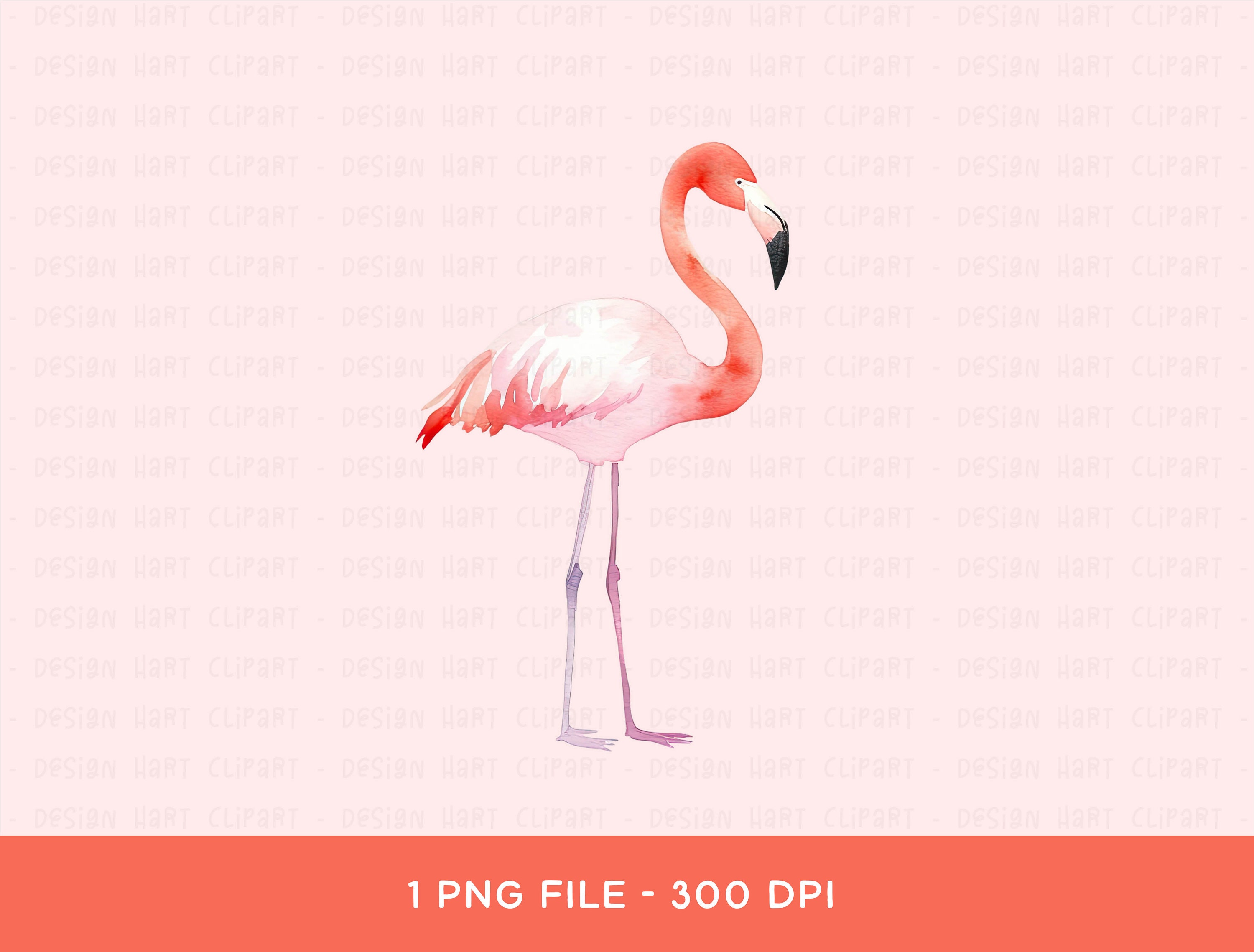 Pink Flamingo Clipart, Watercolor PNG Graphic for Commercial Use for ...
