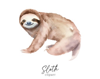 Watercolor Sloth Clipart - Cute Sloth PNG for Birthday Invitations, Greeting Cards, Wall Art, Crafts, Digital Download, Commercial Use File