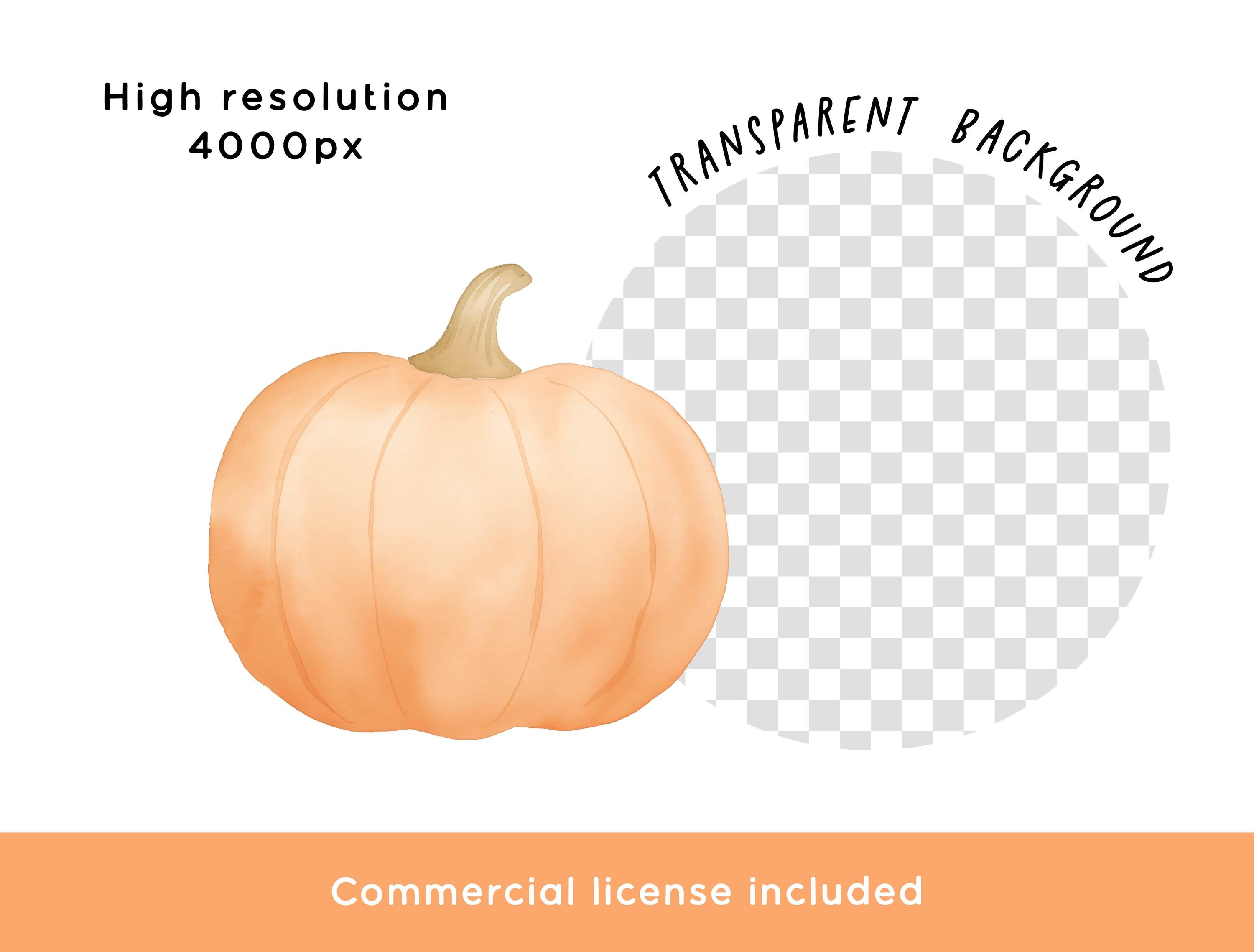 Pumpkin Clipart Bundle, PNG Graphic Digital Download Watercolor Floral ...