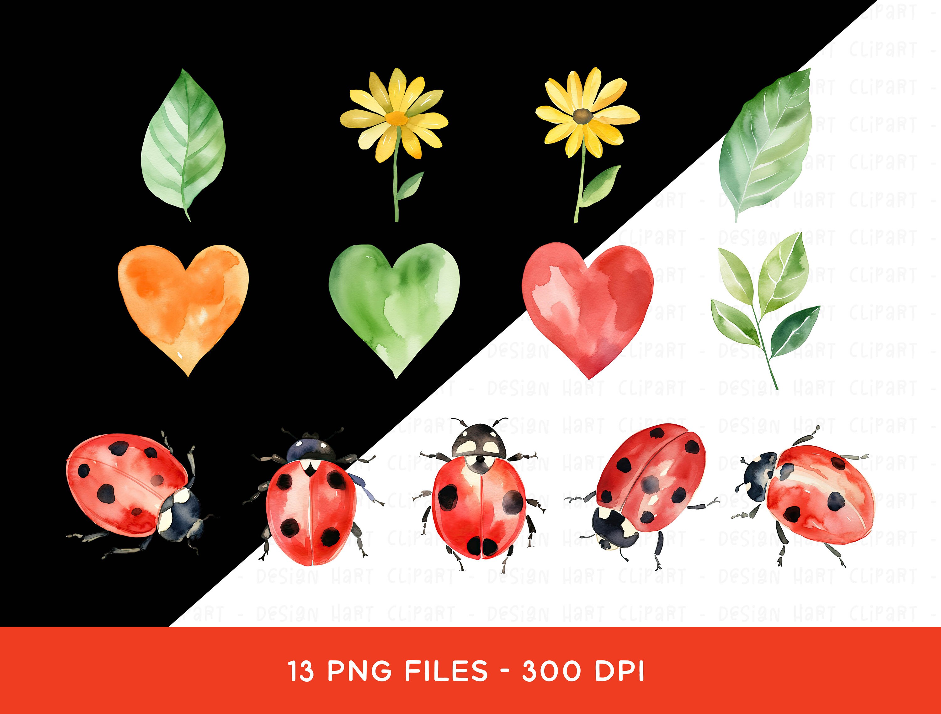 Ladybug Clipart Bundle, Watercolor Cute Ladybird Bugs PNG Insect ...