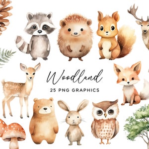 Clipart de aquarela de animais da floresta, pacote PNG de floresta fofa raposa urso esquilo coelho coruja uso comercial berçário clip art para convites