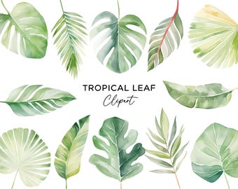 Tropical Leaf Clipart Bundle, Watercolor Graphics Monstera Botanical Graphics Green Palm Leaves PNG Digital Download for Wedding Invitations