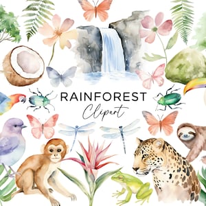 Regenwald Clipart Bundle-Set, PNG Sublimationsgrafiken Digitaler Download Kommerzielle Nutzung, Aquarell Tiere & Blätter Affe Papagei Tukan