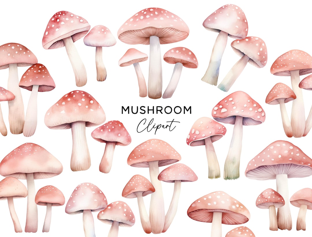 Pink Mushroom Clipart Bundle - Whimsical Blush Pink Magical Fairy ...