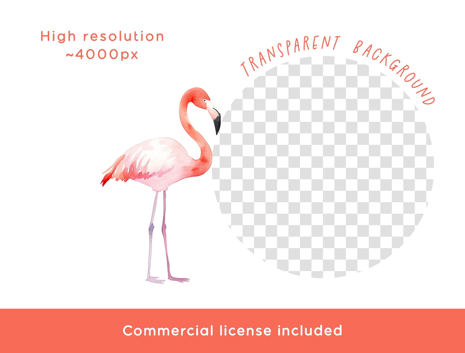 Pink Flamingo Clipart, Watercolor PNG Graphic for Commercial Use for ...