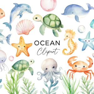 Oceaan clipart bundel, aquarel onder de zeedieren dieren strand onderwater kunst schildpad vis walvis dolfijn PNG-bestanden commercieel gebruik