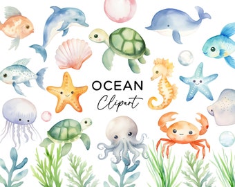 Ocean Clipart Bundle, Watercolor Under the Sea Creatures Animals Beach Underwater Art Turtle Fish Whale Dolphin PNG Files Commercial Use