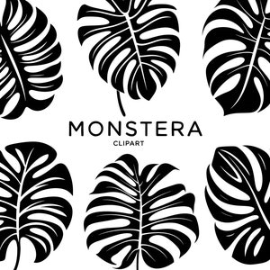 May include: Six black and white silhouette illustrations of monstera leaves. The leaves are arranged in a symmetrical pattern with the word "Monstera" and "Clipart" in the center.