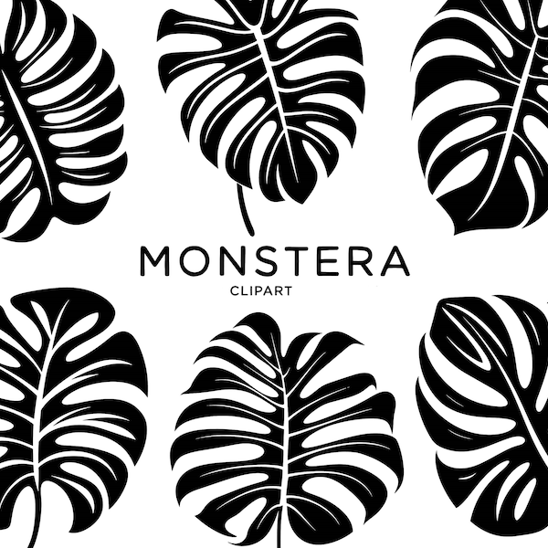 Monstera Leaf Clipart Bundle, SVG PNG Tropical Greenery Silhouette Black & White Vector Summer Graphics Commercial Use Digital Download