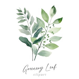Clipart bouquet de feuilles - feuillage de verdure aquarelle feuilles graphiques PNG pour faire-part de mariage, cartes de voeux, art mural en téléchargement numérique