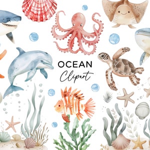 Oceaan clipart bundel, aquarel onder de zeedieren dieren strand onderwater kunst schildpad vis walvis dolfijn PNG-bestanden commercieel gebruik