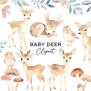 Baby herten clipart bundel set-aquarel bos dier grillige boswezens natuur PNG voor verjaardagsuitnodigingen kinderkamer kunst aan de muur