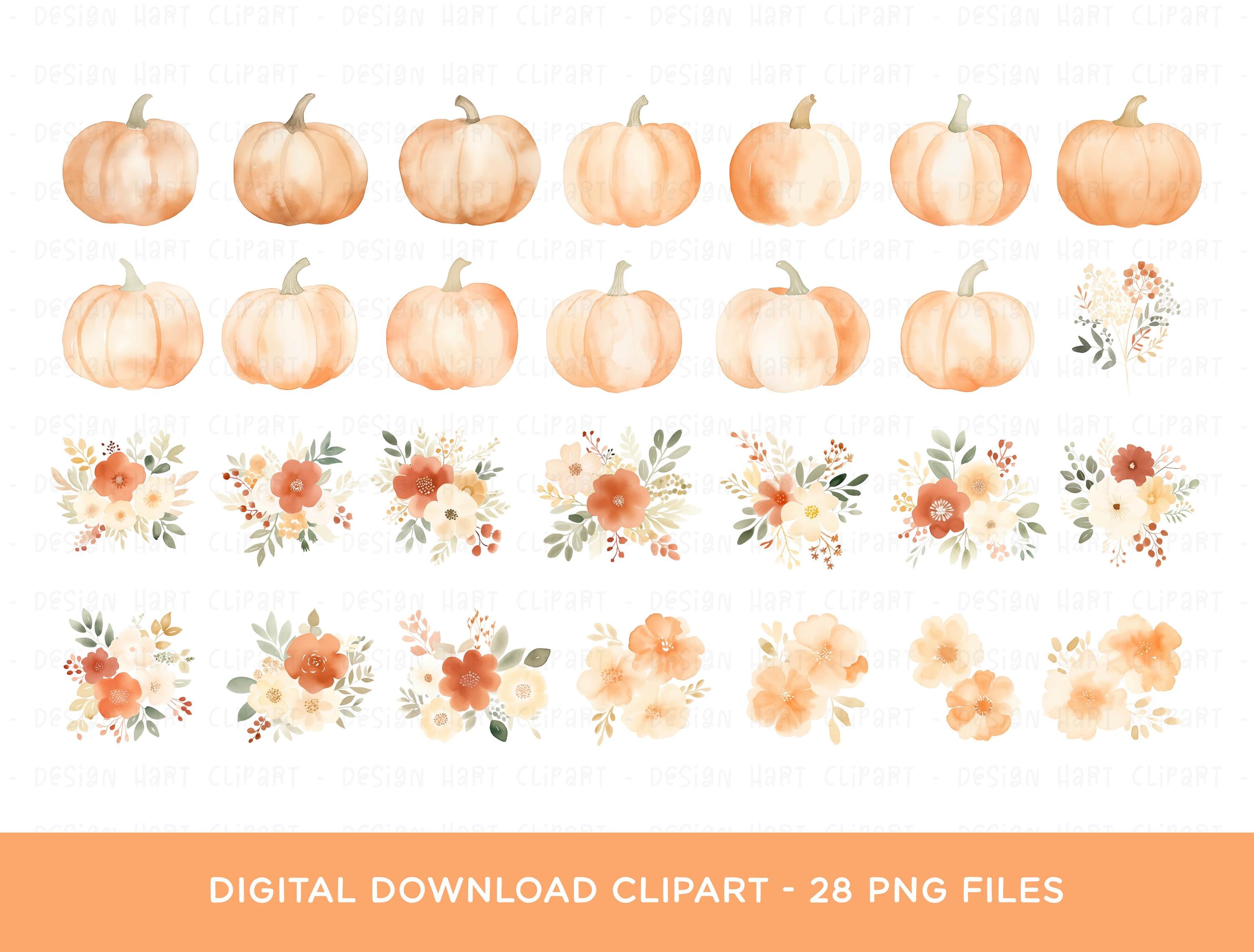 Pumpkin Clipart Bundle, PNG Graphic Digital Download Watercolor Floral ...