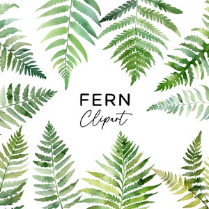Bundle de cliparts fougères aquarelle, PNG verdure de feuilles pour faire-part de mariage usage commercial forêt feuilles téléchargement numérique instantané Clip Art