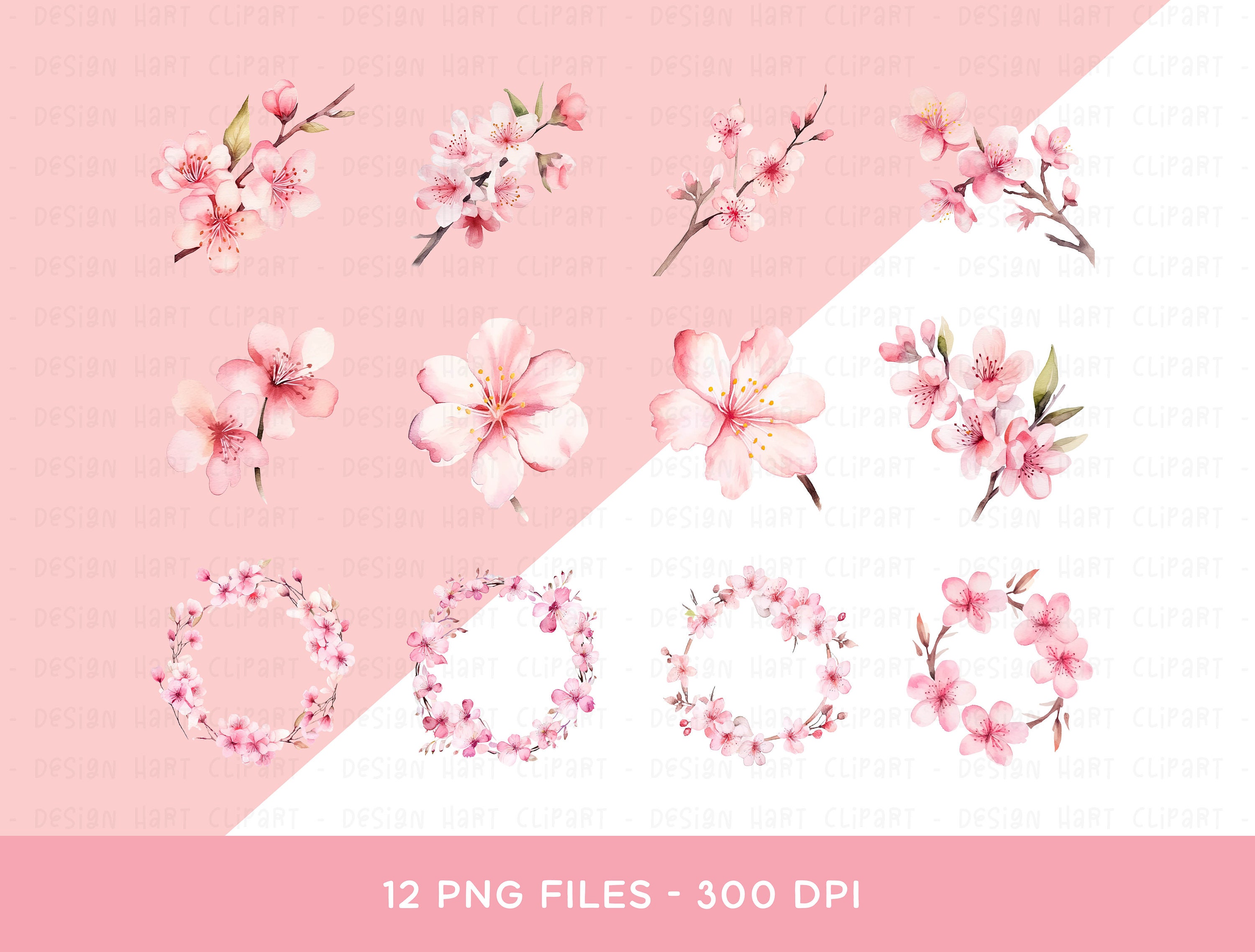 Cherry Blossom Clipart Bundle Set, Spring Flower PNG Watercolor ...