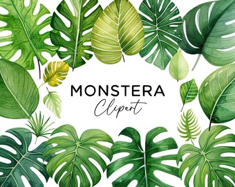 Monstera Leaf Clipart Bundle, Watercolor Greenery PNG Download Painted Tropical Leaves Commercial Use for Invitations Stickers Scrapbooking