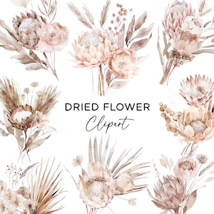 Pacote de clipart de flores secas - Aquarela Boho Palm Leaf Floral Protea Bouquet PNG Download digital para uso comercial Botânico Rústico DIY