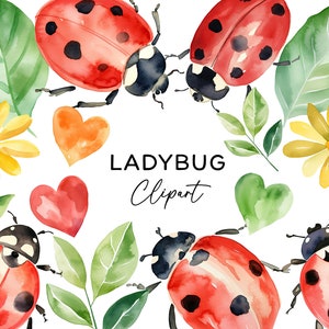 Bundle de cliparts coccinelle, aquarelle mignon coccinelle bugs PNG insecte téléchargement numérique, usage Commercial pour bricolage Invitations autocollant Scrapbook Art