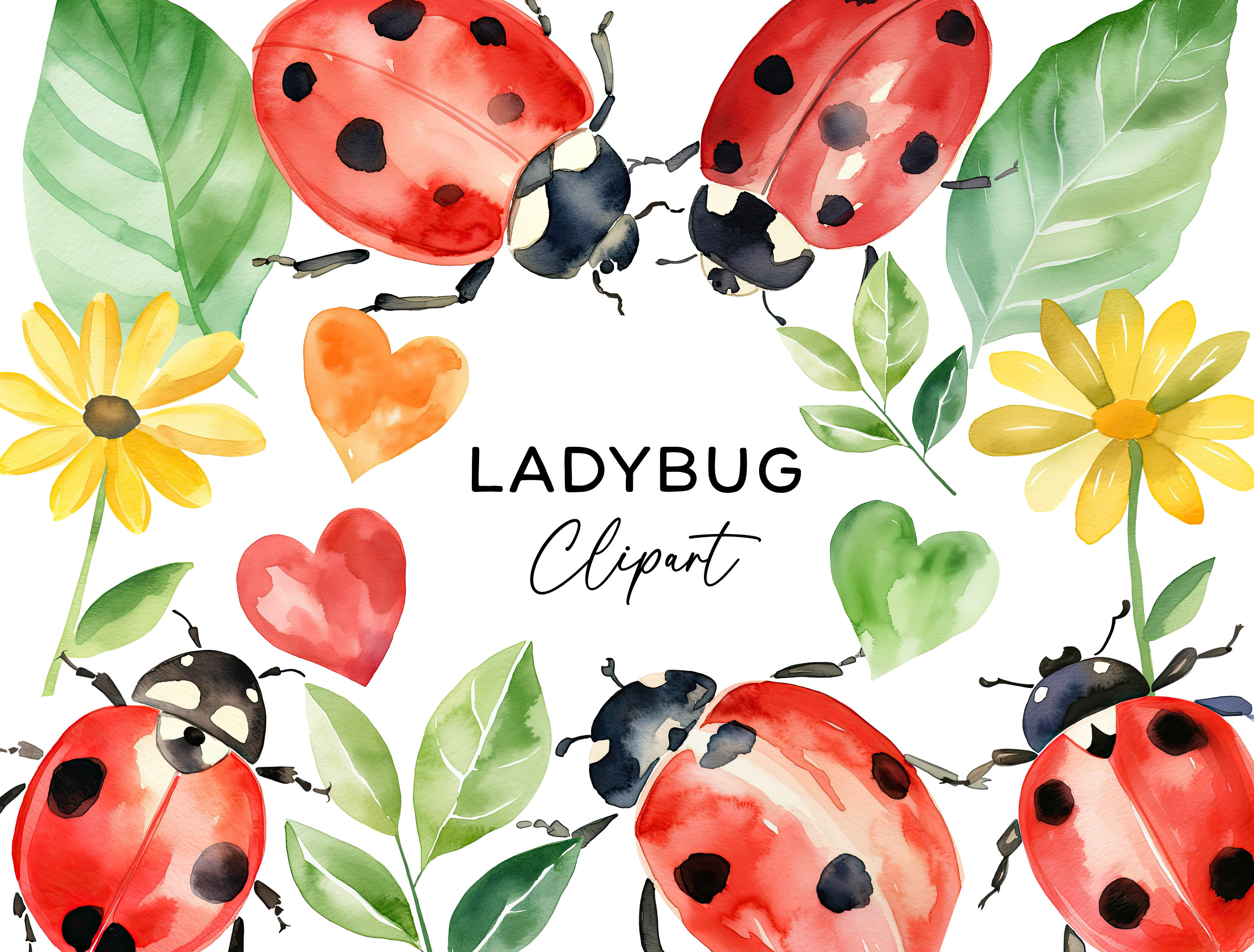 Ladybug Clipart Bundle, Watercolor Cute Ladybird Bugs PNG Insect ...