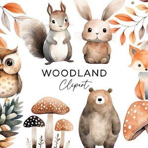 Animales del bosque acuarela clipart, bosque PNG paquete lindo zorro oso ardilla conejo búho uso comercial vivero clip art para invitaciones