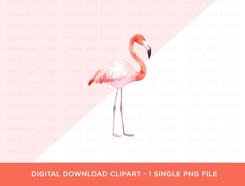 Pink Flamingo Clipart, Watercolor PNG Graphic for Commercial Use for ...