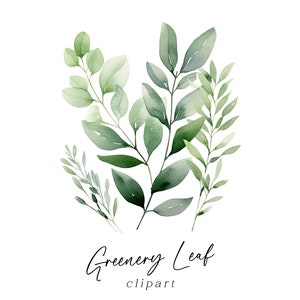 Clipart bouquet de feuilles - aquarelle verdure peint feuilles graphiques PNG pour faire-part de mariage, cartes de voeux, art mural en téléchargement numérique