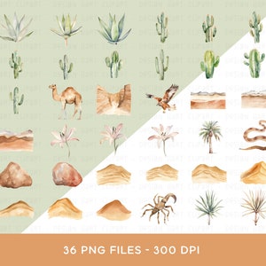 Op de afbeelding: Een set van 36 aquarel illustraties met woestijnelementen, waaronder cactussen, een kameel, een slang, een schorpioen, zandduinen en bloemen. De illustraties zijn perfect voor het maken van uitnodigingen, kaarten en andere woestijnprojecten.