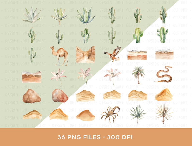Op de afbeelding: Een set van 36 aquarel illustraties met woestijnelementen, waaronder cactussen, een kameel, een slang, een schorpioen, zandduinen en bloemen. De illustraties zijn perfect voor het maken van uitnodigingen, kaarten en andere woestijnprojecten.