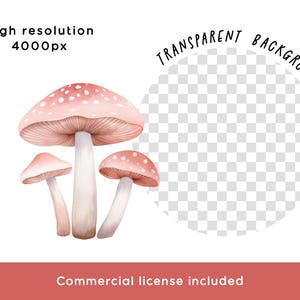 Pink Mushroom Clipart Bundle - Whimsical Blush Pink Magical Fairy ...