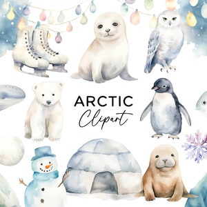 Bundle de clipart animaux de l'Arctique - aquarelle phoque pingouin baleine iceberg PNG graphiques pour Invitations autocollants scrapbooking usage Commercial