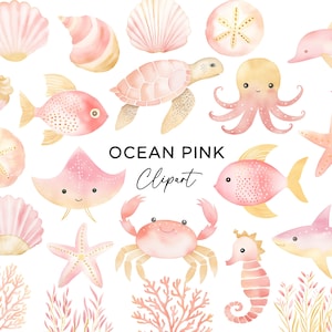 Paquete de imágenes prediseñadas del océano, bajo las criaturas marinas tortuga pez delfín niño buceador conchas de coral cangrejo estrella de mar oro rosa niñas PNG uso comercial