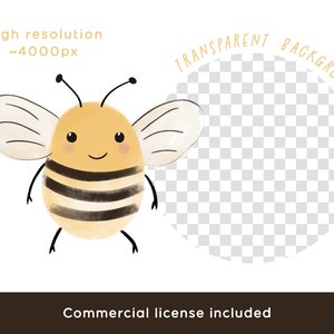 May include: A cute cartoon bee with yellow and black stripes, big eyes, and a smile. The bee has white wings and is standing on a white background. The image has a transparent background.