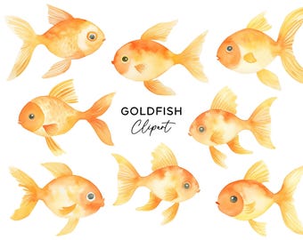 Goldfish Clipart Bundle, PNG Graphics Digital Download Watercolor Clipart Under the Sea Ocean Fish Illustration Commercial Use