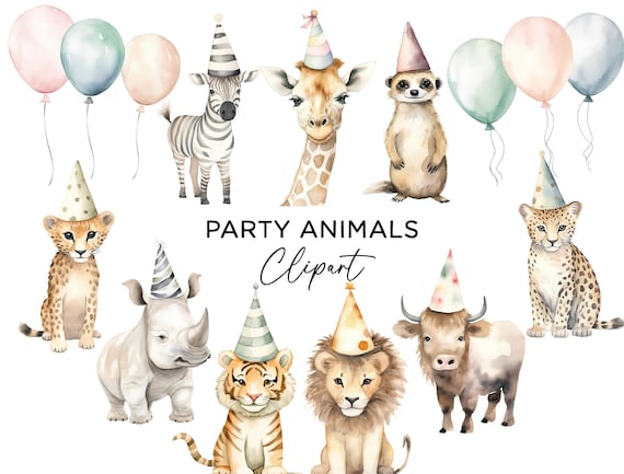 Party Hats Dozen All Animals Together In Forest Amazing - Main Image