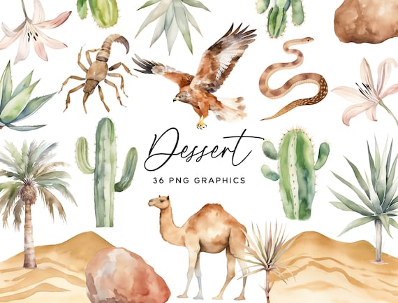 Desert Clipart Bundle - Outback Watercolor Camel Eagle Cactus Snake Scorpion Hand Painted PNG for Crafts Invitations Scrapbooking Commercial