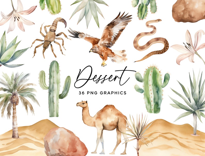 Op de afbeelding: Een set van 36 aquarel-illustraties met woestijnthema, waaronder een kameel, cactus, slang, schorpioen, havik en palmbomen. De illustraties zijn perfect voor het maken van uitnodigingen, kaarten en andere knutselprojecten.