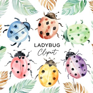 Ensemble de cliparts coccinelle - aquarelle coccinelle arc-en-ciel insecte PNG pour enfants Invitations chambre d'enfant art mural téléchargement numérique usage commercial