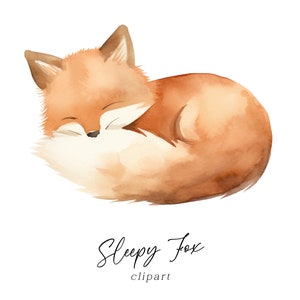 Clipart renard endormi - PNG animal de la forêt aquarelle pour faire-part d'anniversaire, cartes de voeux, art mural, travaux manuels, téléchargement numérique commercial