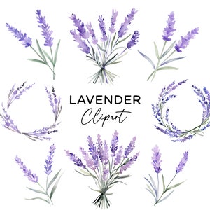 Pacote de clipart de lavanda, aquarela floral roxo raminhos primavera ilustrações botânicas PNG para convites de casamento scrapbooking artesanato faça você mesmo