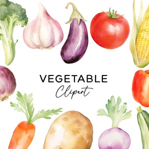 Ensemble de cliparts légumes, aquarelle légumes PNG Illustrations d'aliments sains téléchargement numérique usage commercial jardin graphiques brocoli