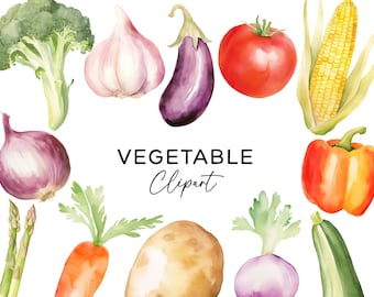 May include: Watercolor illustrations of various vegetables, including a purple onion, a green broccoli, a white garlic, a purple eggplant, a red tomato, a yellow corn, a red bell pepper, a green zucchini, a purple turnip, a brown potato, an orange carrot, and green asparagus. The text "VEGETABLE Clipart" is written in black.