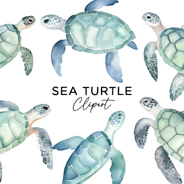 Sea Turtle Clipart Set, Watercolor Ocean Creature Graphics Blue Green Turtle PNG Sublimation Download for Invitations Scrapbooking Sticker