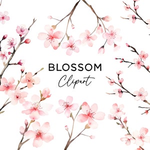 Set di clipart in fiore, fiori floreali di ciliegio primaverile dell'acquerello grafica di fiori rosa PNG Clip Art per adesivi per inviti di feste Scrapbooking